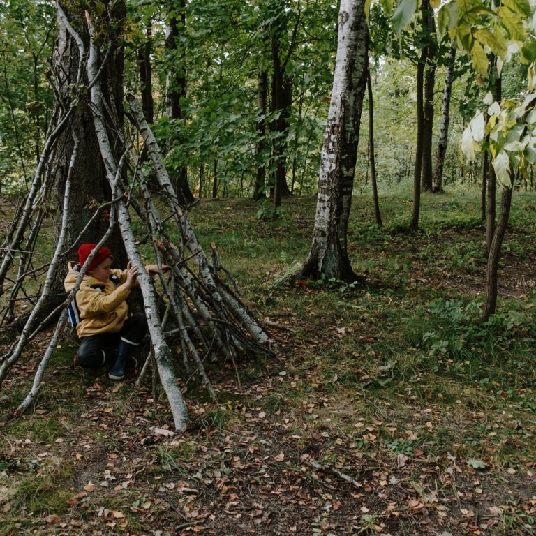 Wald-, Natur- und Umweltpädagogik im Kindergarten- und Grundschulalter