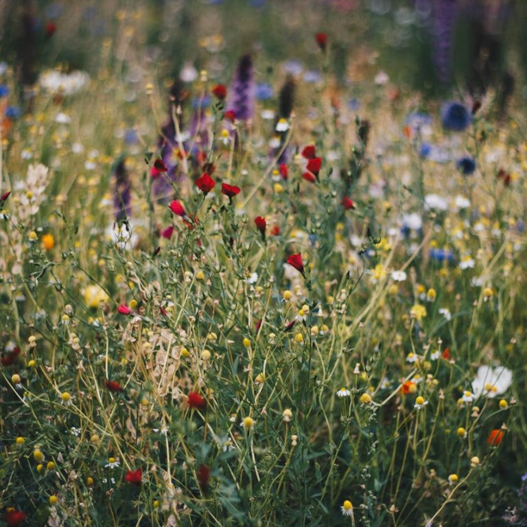 Werken mit Natur- und anderen Materialien