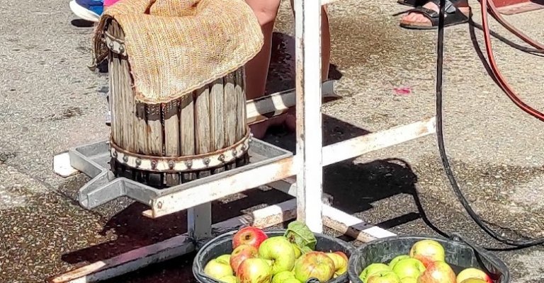 Hauswirtschafter*in (m/w/d) Koch/Köchin